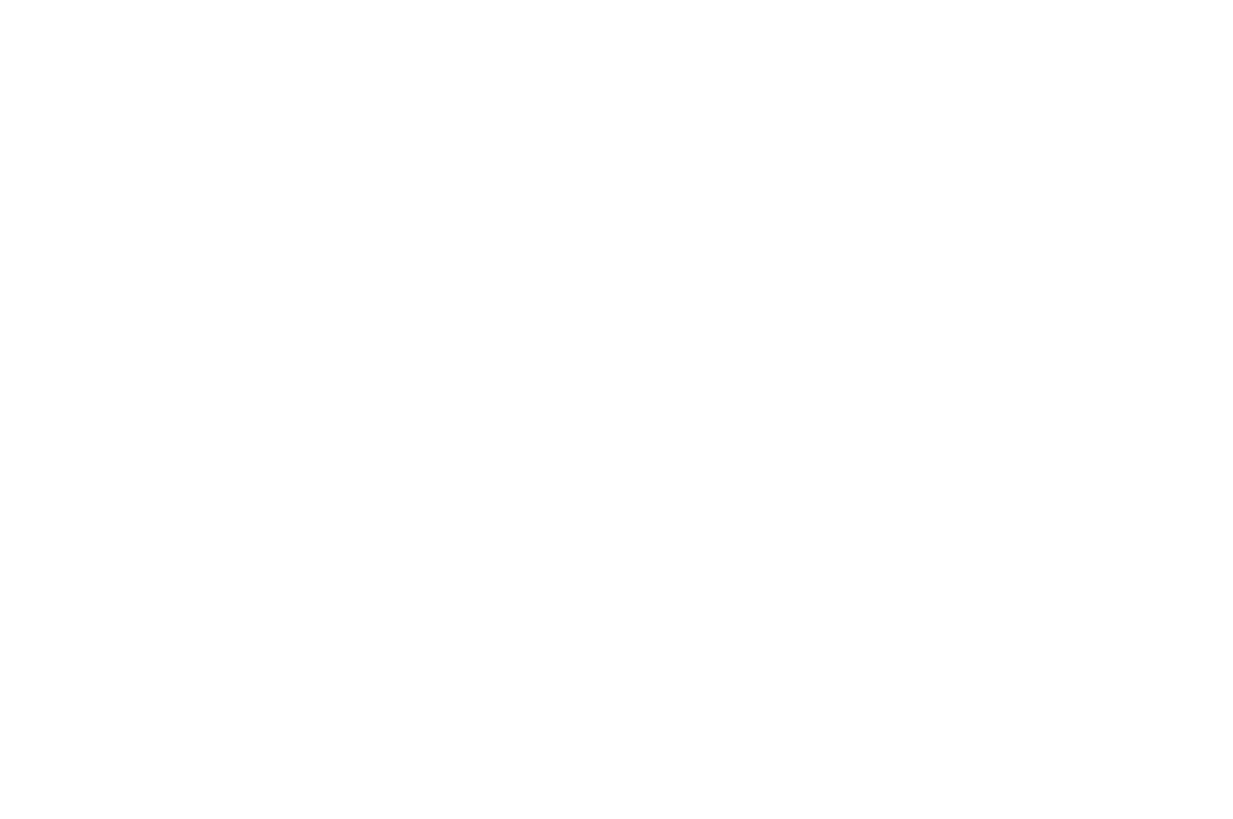 Official Selection — Portland Film Festival